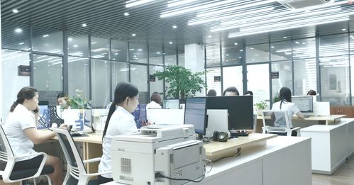 冻干饼干方便食品一站式代加工供求信息平台与咨询服务